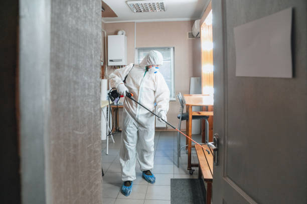 Mold Removal for HVAC Installations in Wilkinson Heights, SC
